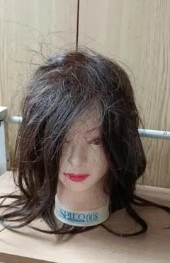 美容師 カットウィッグ マネキンヘッド レッスン用 人毛100％　スピロ008