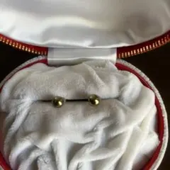 Item thumbnail for item 9ebc41fa-aec4-4067-b1d3-a7c00df2f93d