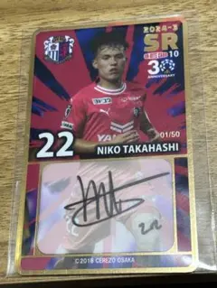 Item thumbnail for item 2226b52c-5674-46f3-96fd-950260b13af4