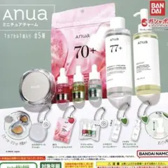 Anua アヌア ミニチュアチャーム