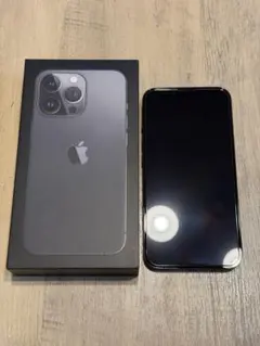 土日限定値下げ！ iPhone13Pro 1TB グラファイト おまけ付き