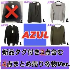 AZUL 冬物ニット4点セット Lサイズ