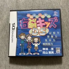 右脳キッズDS 神林式脳力開発法　E