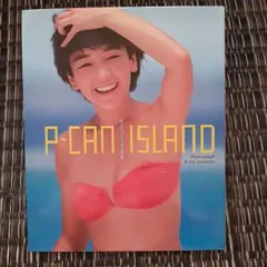 2025年最新】西田ひかる P-CAN ISLANDの人気アイテム - メルカリ