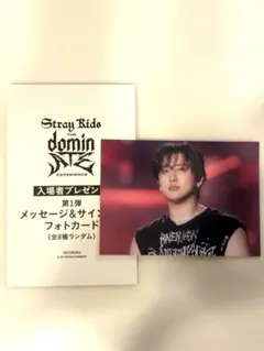 straykids スキズ チャンビン dominATE セット Stray Kids World Tour <dominATE MACAU>1日目、チャンビン | ピリと
