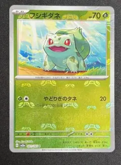 Minami様 リクエスト 2点 まとめ商品