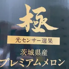 208糖度18度以上！茨城県旭村産プレミアムメロン極クインシー3L1箱4玉入 208糖度18度以上！茨城県旭村産プレミアムメロン極クインシー3L1箱4玉
