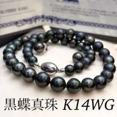 K14WG✨️ 黒蝶真珠 パール ネックレス 約8.5~11mm 本真珠 鑑別所