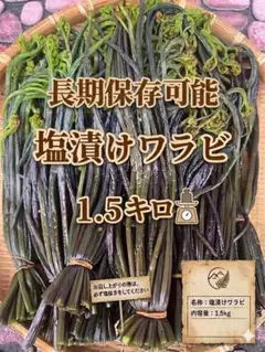 ⭐︎うさぎ⭐︎様専用塩漬けワラビ 1.5kg 山菜のサムネイル