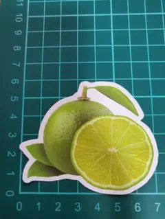 けいはん様 リクエスト 2点 まとめ商品