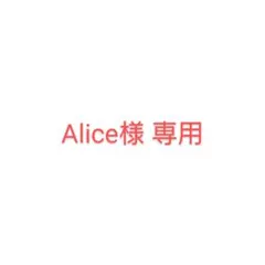 Alice様 専用出品