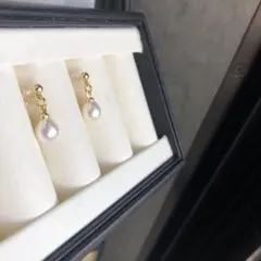 プルメリア様専用確認ページ