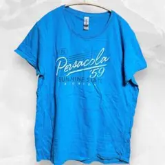 GILDAN ギルダン コットンTシャツ 水色 ブルー L 無地 シンプル