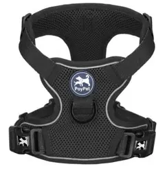 Item thumbnail for item 0cb30ca4-e258-4e0a-b1d1-7b2e8b7e2b1f