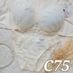 №1366【C75】パピヨンケミカルレースブラジャー&フルバックショーツ