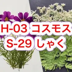 Item thumbnail for item 5c8e311f-e940-414f-8780-3d47c422697f