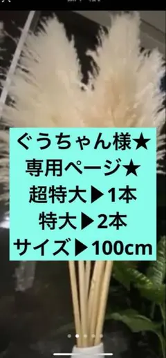 ★ぐうちゃん様専用ページ★