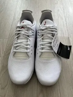 Air Jordan 3 ゴルフシューズ ホワイト/グレー