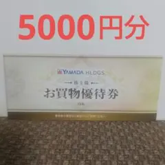 【最新】ヤマダホールディングス 株主優待券