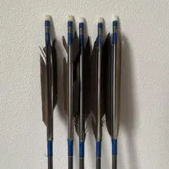 矢/弓道 七面鳥 EASTON XX75 2013 弓道 矢 EASTON1913 xx75 12本 - メルカリ