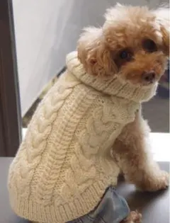 Item thumbnail for item 449bf9e7-5999-4d54-a401-3fe4ce3a50f4