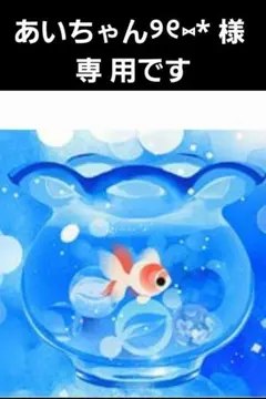あいちゃん୨୧⑅* 様 専用
