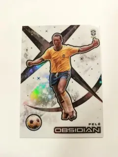 ペレ　レアインサート　Panini Obsidian　White Night