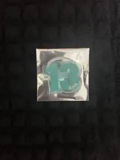 【美品】超特急 アロハ ファンミ2025 ペンライトアクセサリー 13