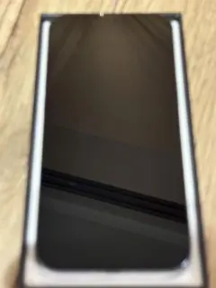 Apple iPhone 13 Pro シルバー 本体