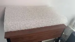 Item thumbnail for item 53989d46-1939-4e85-bb38-14ff5c902b3e