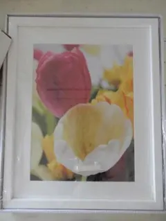 Item thumbnail for item 8ccf9298-e24e-4932-bb70-6d15c2e37a5d