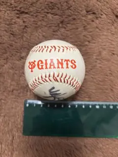 巨人　ジャイアンツ　GIANTS 硬式野球ボール サイン入り
