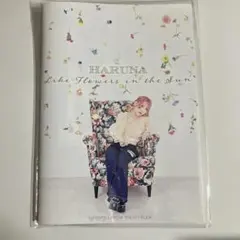 2025年最新】lovebites harunaの人気アイテム - メルカリ