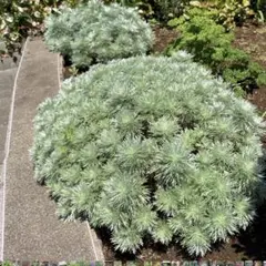 おけい様 リクエスト 3点 まとめ商品