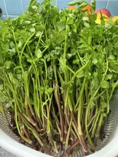 自然クレソン1kg＋バラバラニンニクオマケ 自然クレソン1kg＋バラバラニンニクオマケ - メルカリ