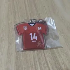 男子バレー めじるしチャーム 石川祐希