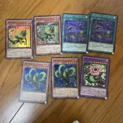 遊戯王 捕食植物セット