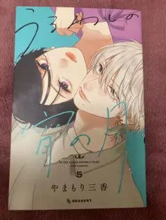 【うるわしの宵の月】やまもり三香 KC 5巻 少女漫画
