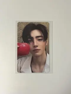 ENHYPEN THE SIN : VANISH ソンフン　トレカ