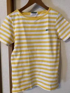 LACOSTE BEAMS別注EXCLUSIVE EDITION ボーダー美品