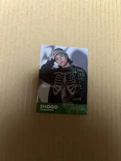 Item thumbnail for item bf2ae90c-b503-4ab5-b264-e98089056c40