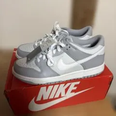 【極美品・激レア】NIKE DUNK NG SL ゴルフシューズ 25cm 箱有 極美品・激レア】NIKE DUNK NG SL ゴルフシューズ 25cm 箱有 | Mercari