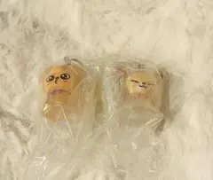 skzoo めじるし アクセサリー パピーム フォクシニー