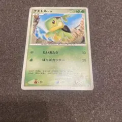 2026年最新】ナエトル プロモの人気アイテム - メルカリ
