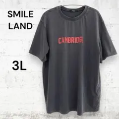 【SMILE LAND】メンズロゴプリント半袖Tシャツ 3L　グレー　古着