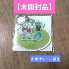 ぽこあポケモン IKEA アクリルキーホルダー 【非売品】 - メルカリ