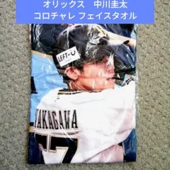 Item thumbnail for item 30f500fa-7b1b-4421-8df5-4c1e2fc60be1