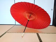 2025年最新】羽二重傘の人気アイテム - メルカリ