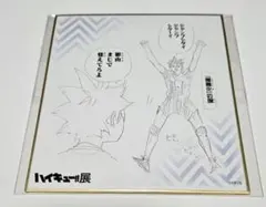 ハイキュー!!展 色紙コレクション 日向＆影山