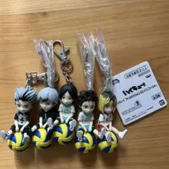ハイキュー!! キーホルダー 5体セット
